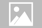 爱游戏ayx线上入口 - 费迪南德布劳恩 
