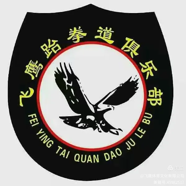 跆拳道夜战：皖南飞鹰队逆转泰山犀牛队，主帅临场妙招球迷期待下一战(旋风队烈火队飞鹰队)