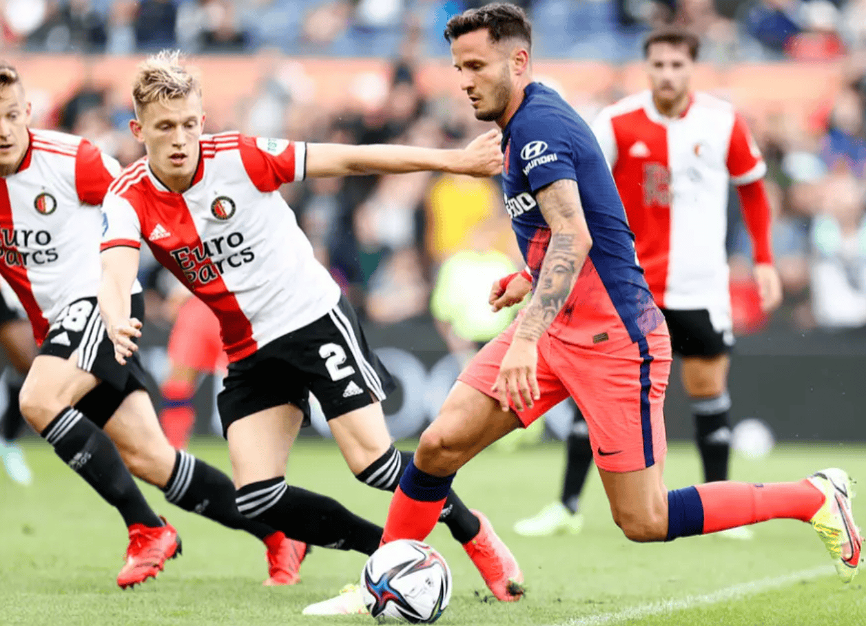 风云突变打一正确动物